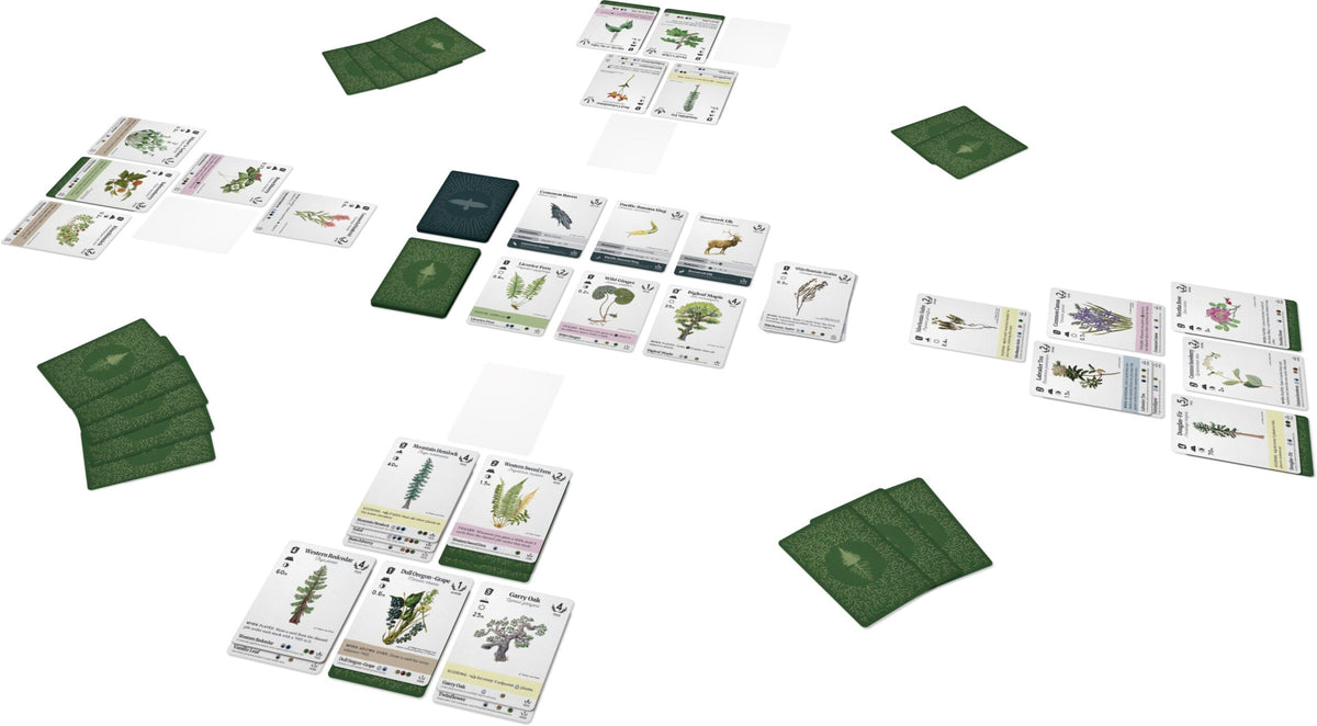 Reforest: Plants of the Pacific Northwest Coast